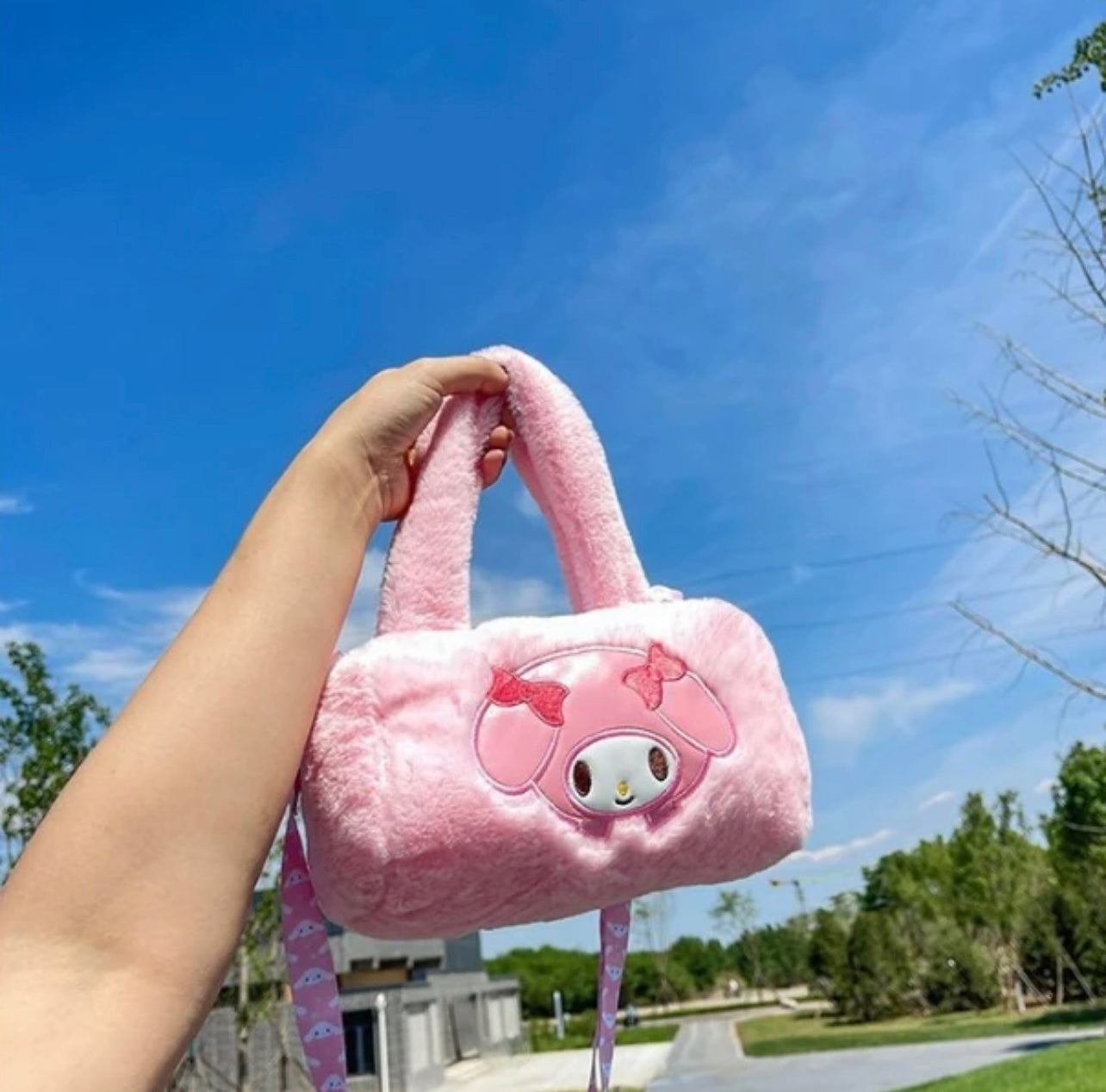 Beautiful Sanrio characters crossbody